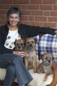 Border Terrier